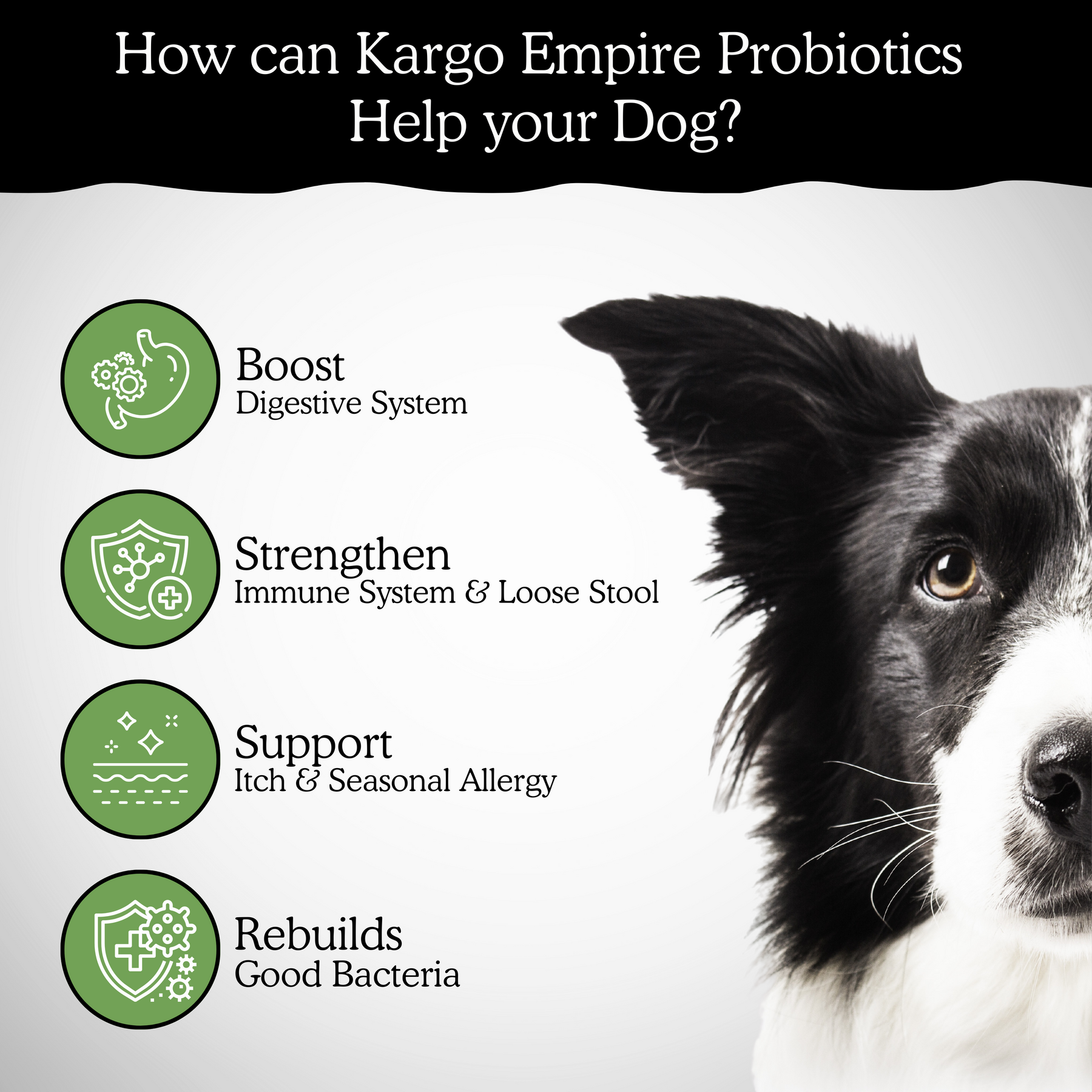 Kargo Empire Probiotic Chews | Soutien digestif et immunitaire avancé pour chiens | 140 Chews