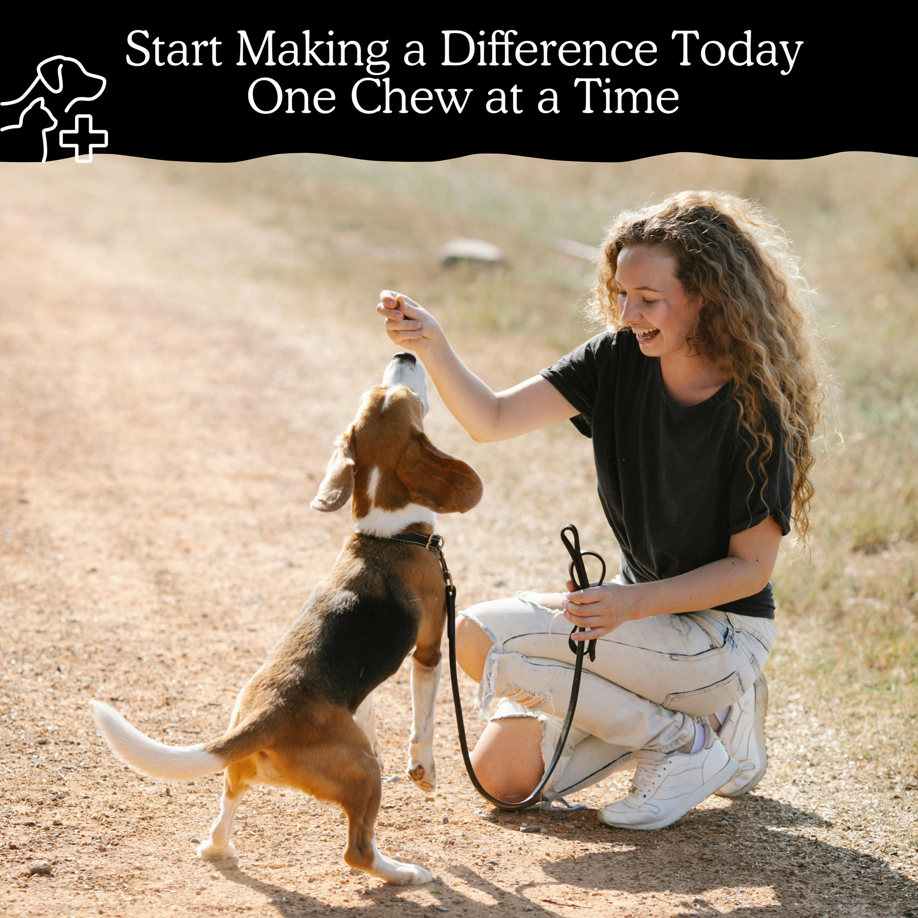 Kargo Empire Probiotic Chews | Soutien digestif et immunitaire avancé pour chiens | 140 Chews