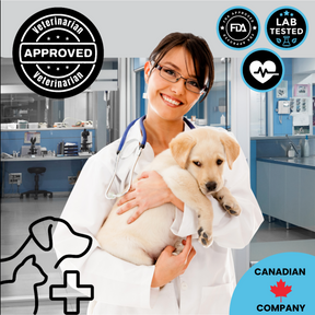 Kargo Empire Probiotic Chews | Advanced Digestive & Immune Support for Dogs | 140 Chews