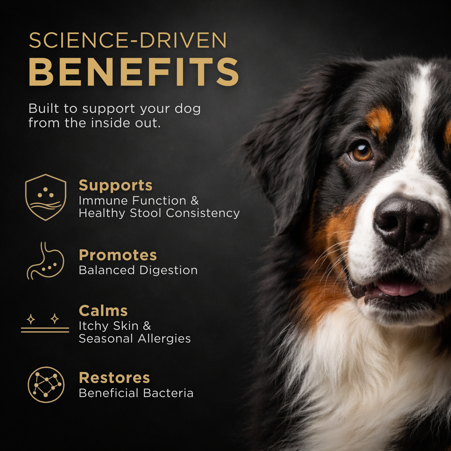 Kargo Empire Probiotic en poudre | Soutien quotidien des intestins, du système immunitaire et du pelage des chiens